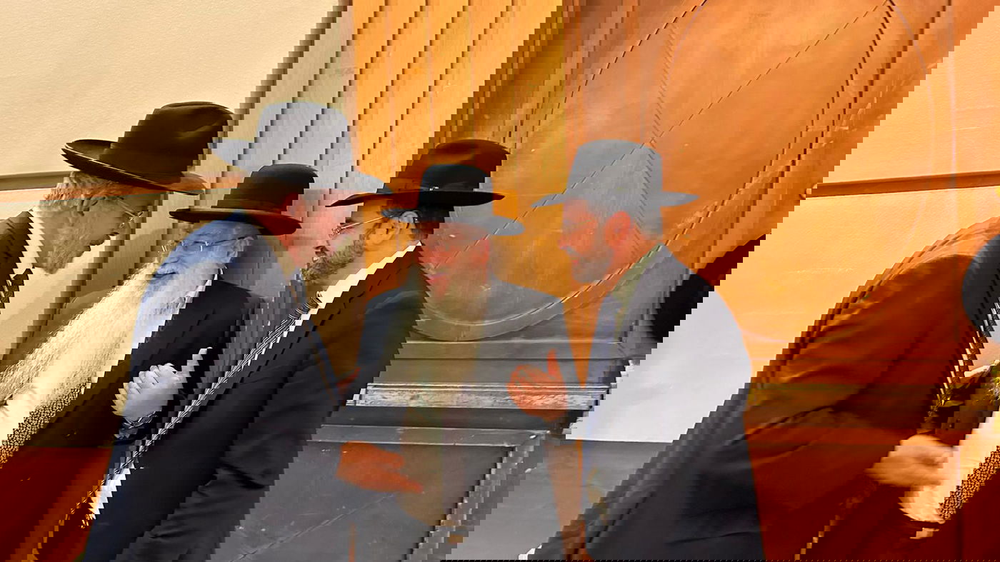 זופניק בכיכר • כל התמונות, הנייעס והחשיפות של השבוע