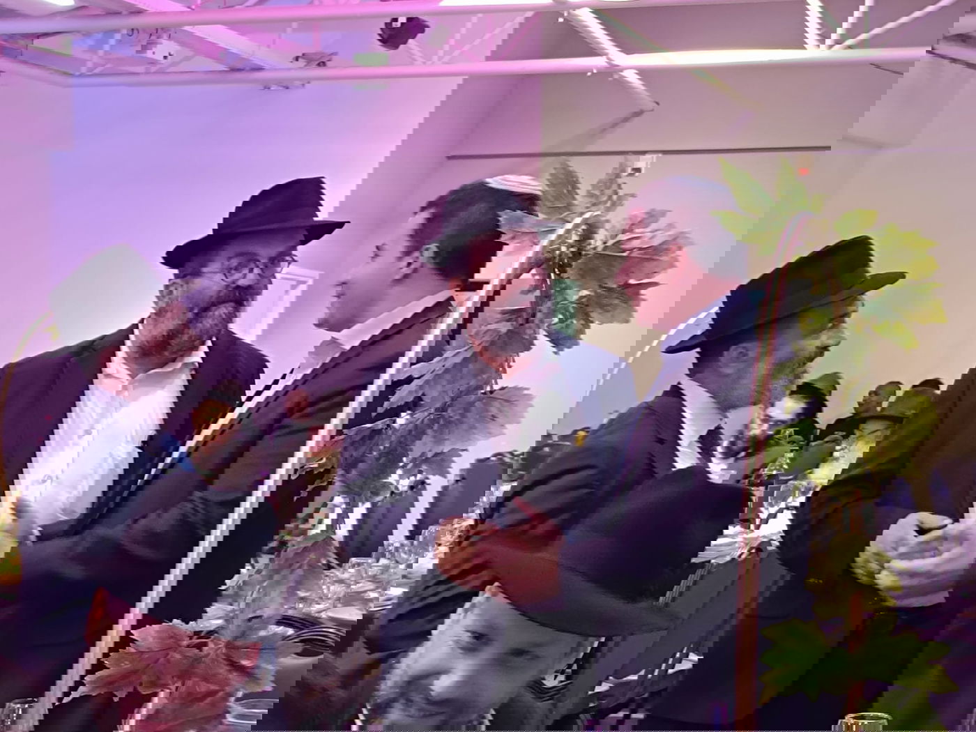 זופניק בכיכר • כל התמונות, הנייעס והחשיפות של השבוע