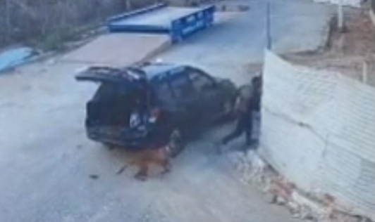 החשודים נתפסו