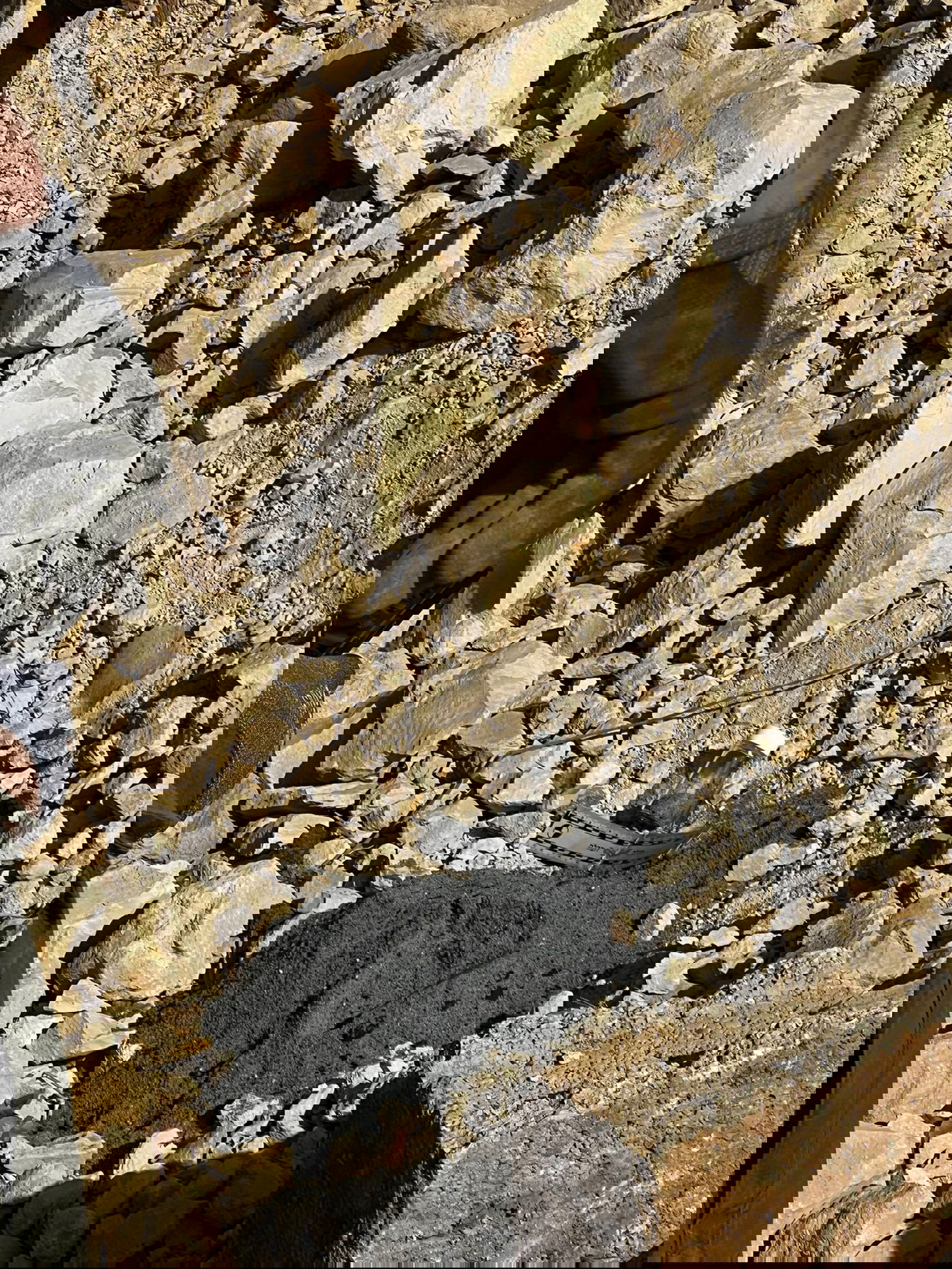 ליד המעיין: לוחמי מג"ב חשפו ברכב הגנוב - מטען נפץ | תיעוד