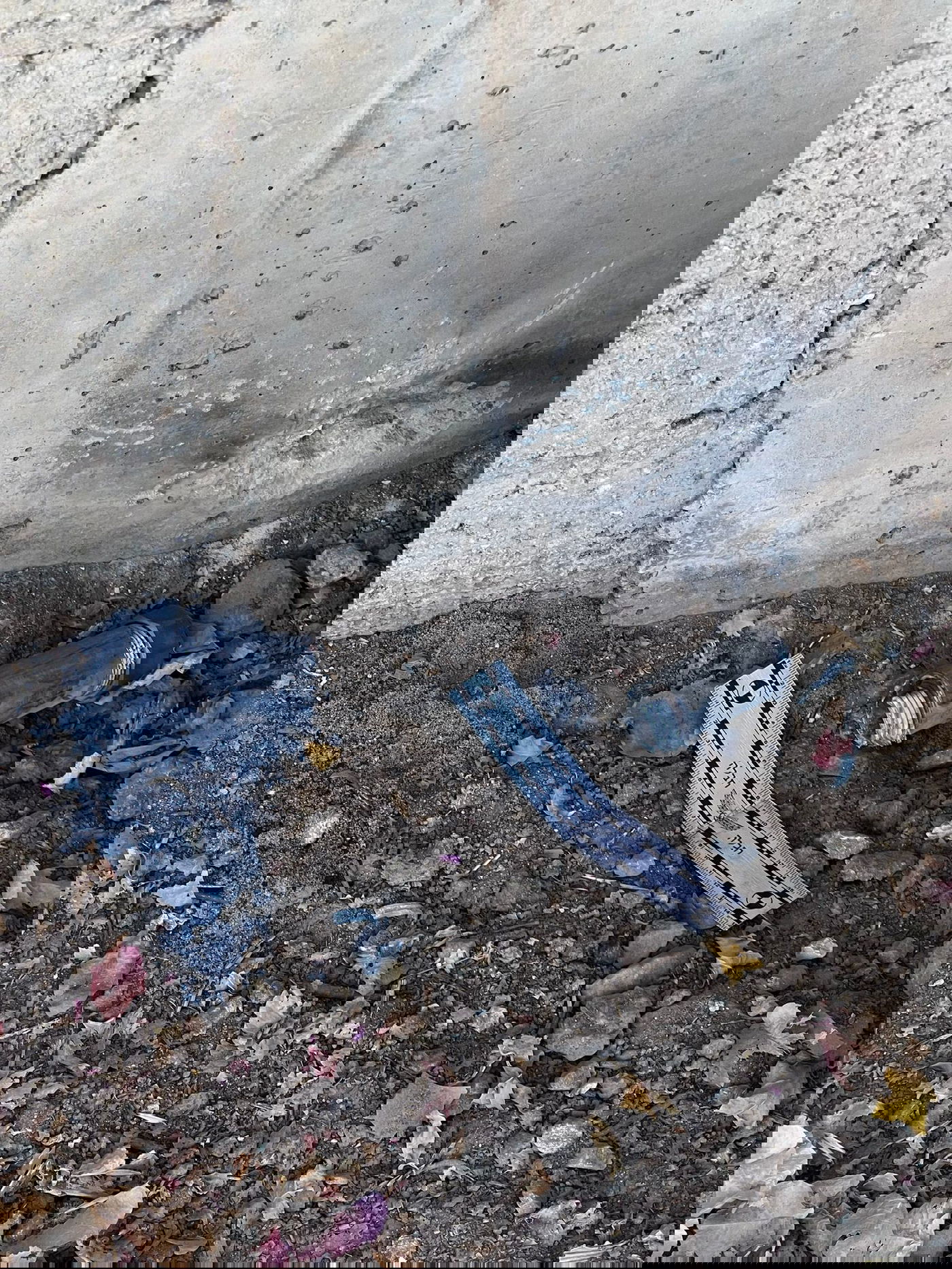 ליד המעיין: לוחמי מג"ב חשפו ברכב הגנוב - מטען נפץ | תיעוד