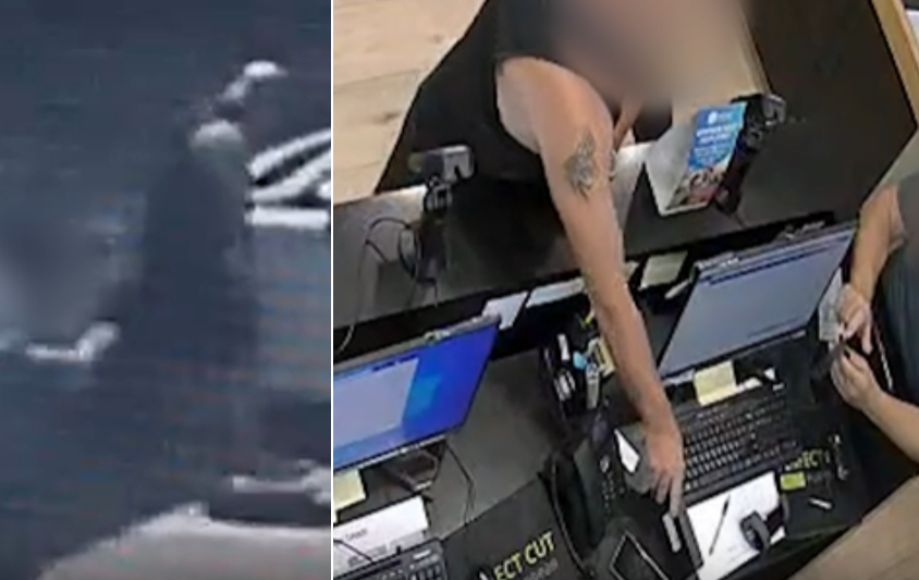 תיעוד הגניבה והאלימות