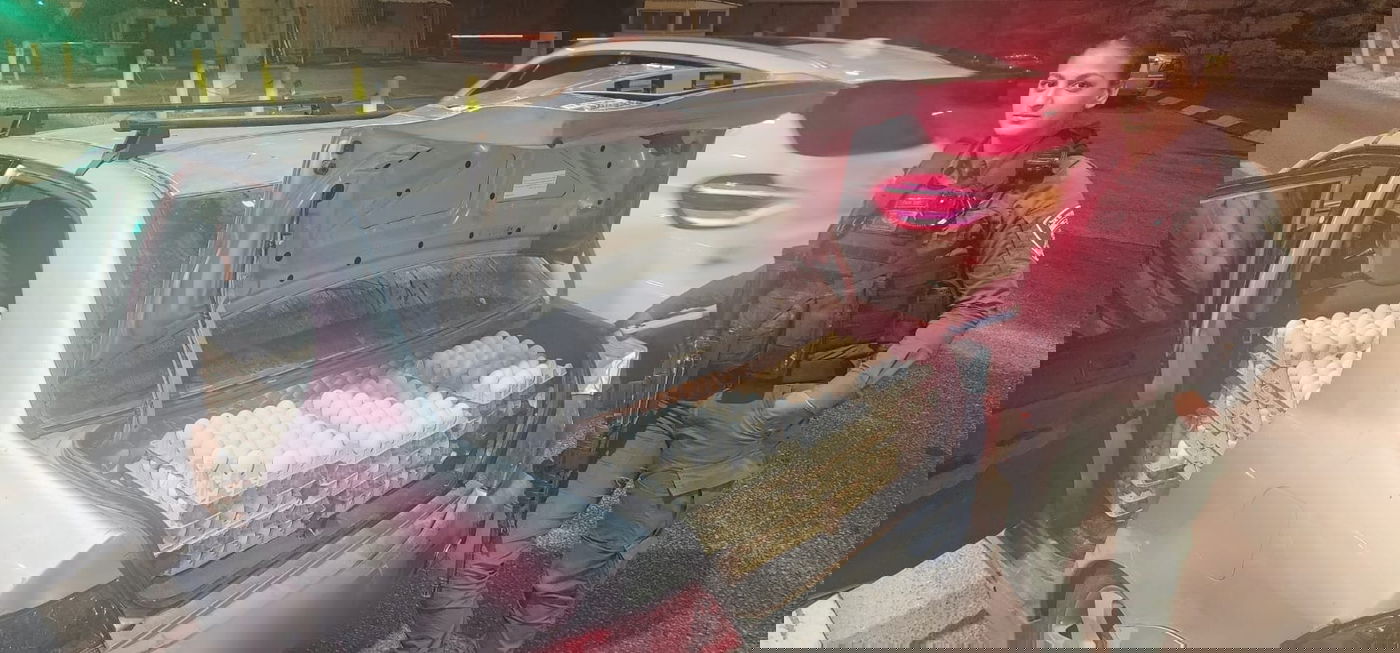 הביצים שנתפסו