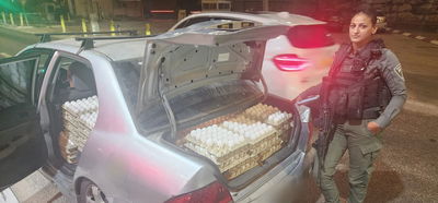 הביצים שנתפסו