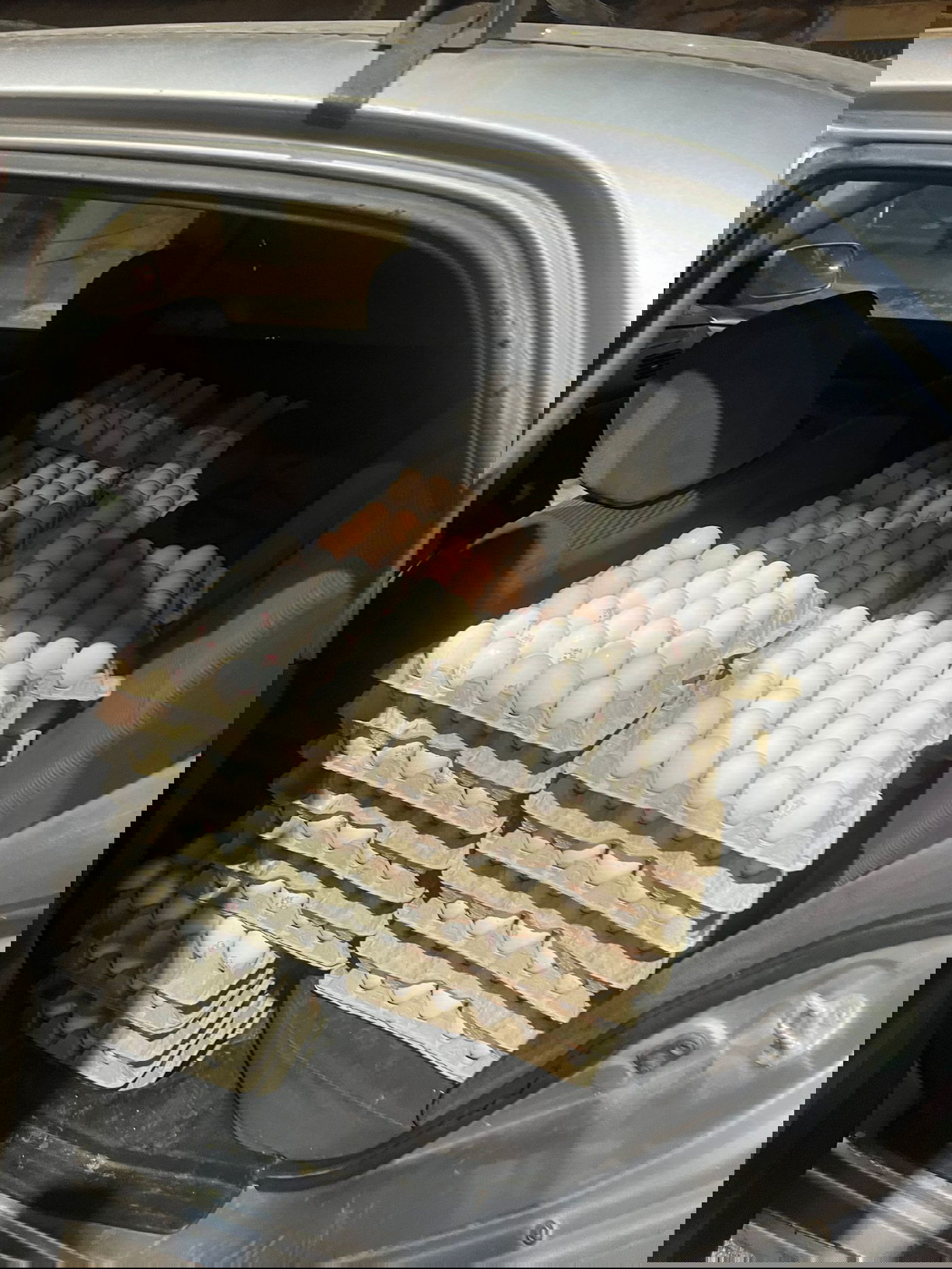 הביצים שנתפסו ברכבו של תושב בני ברק