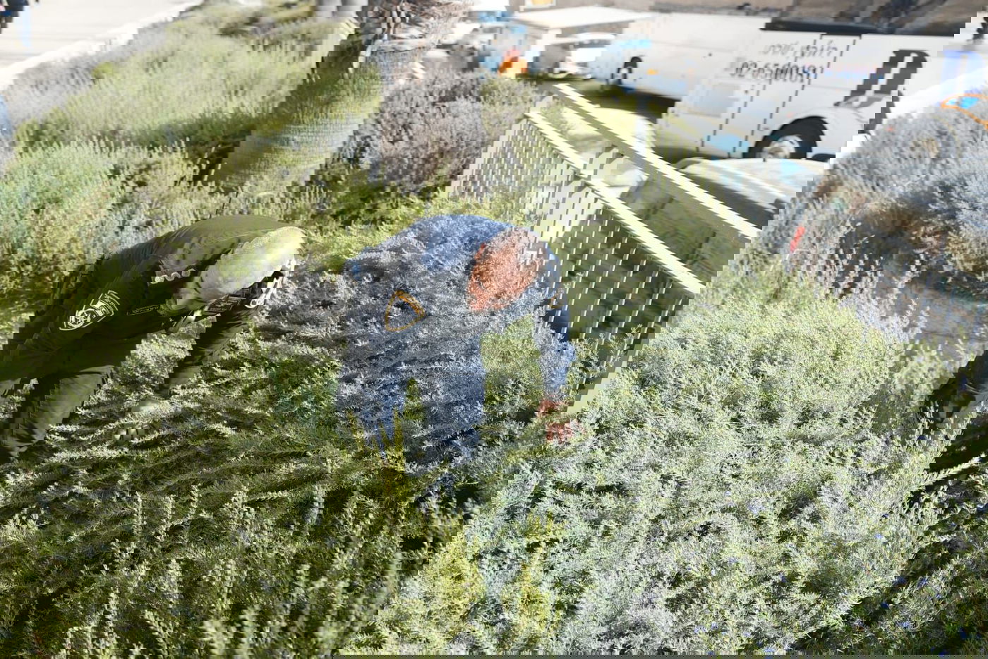 אסון גדול נמנע: זו הסכין הענקית עמה בוצע הפיגוע 