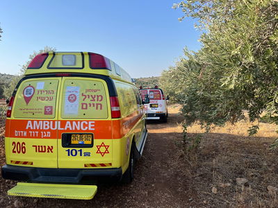 אילוסטרציה