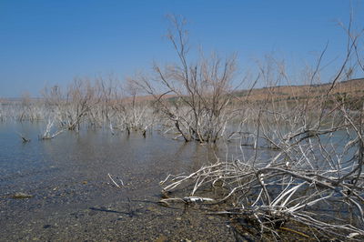 הכנרת, אתמול
