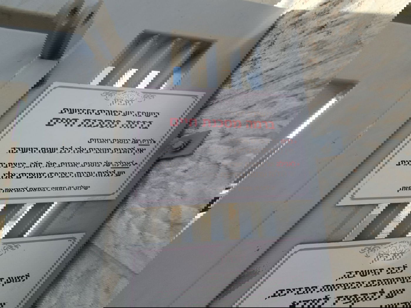 זופניק בכיכר • כל התמונות, הנייעס והחשיפות של השבוע