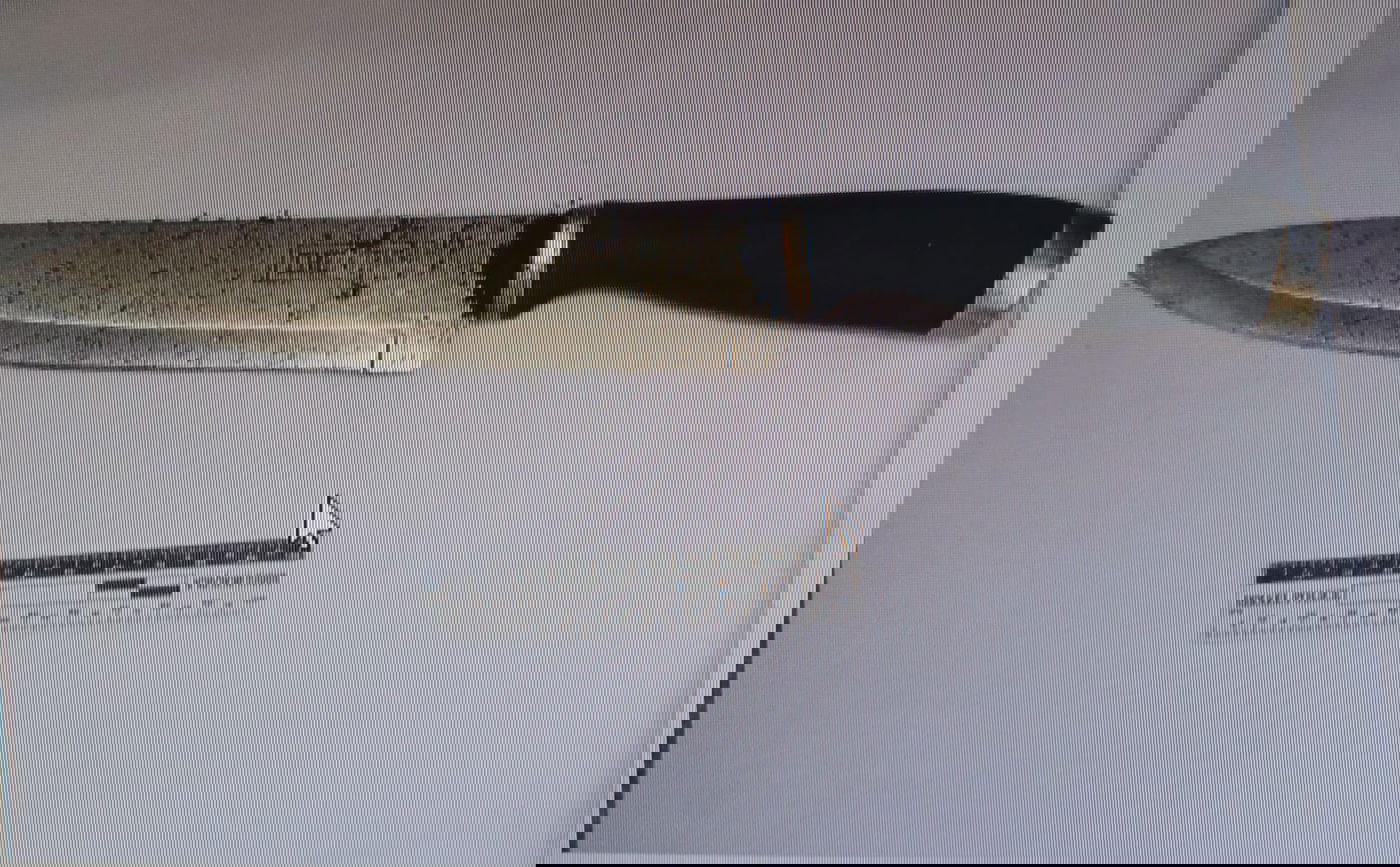 הסכין שבה בוצעה הדקירה