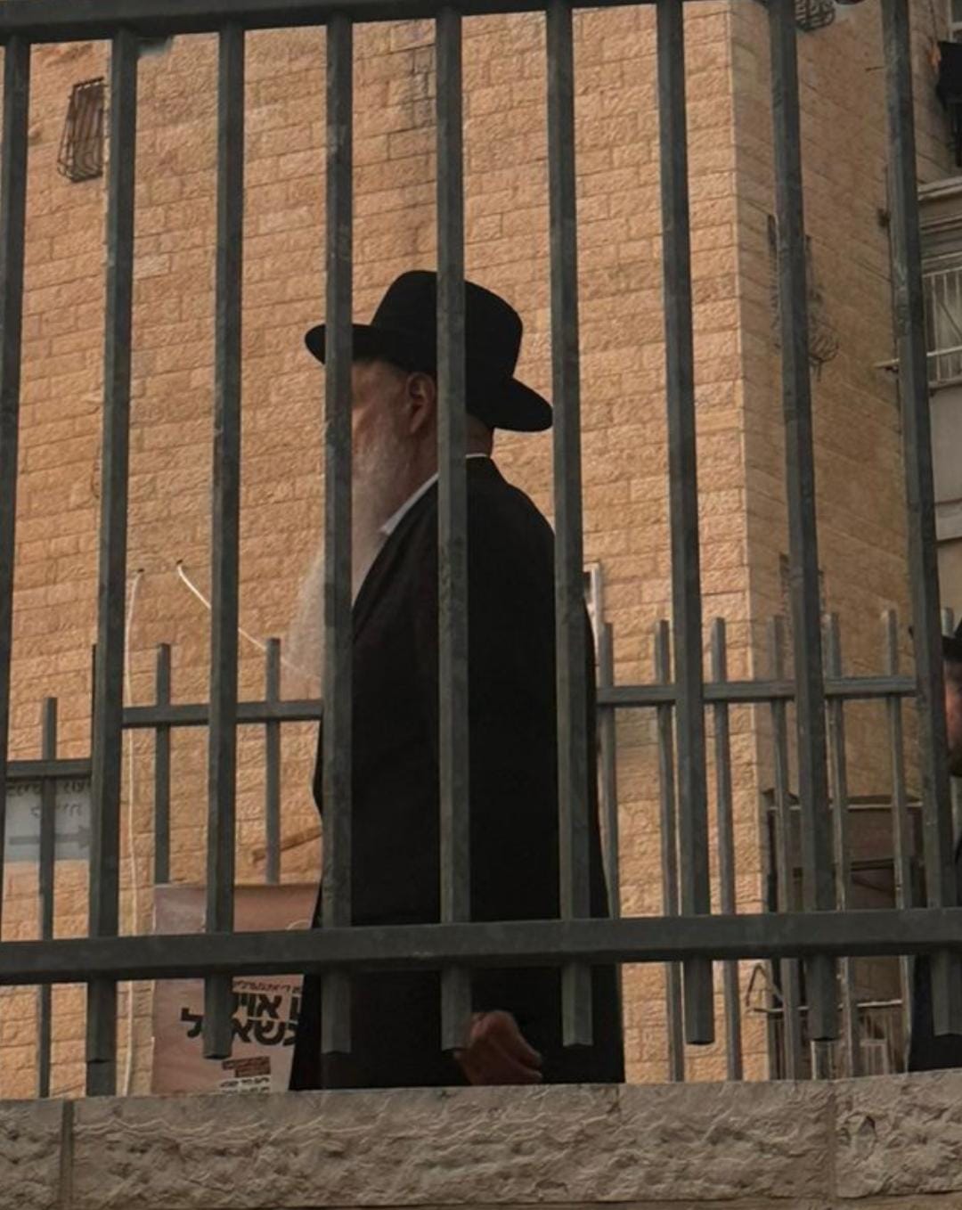 זופניק בכיכר • כל התמונות, הנייעס והחשיפות של השבוע