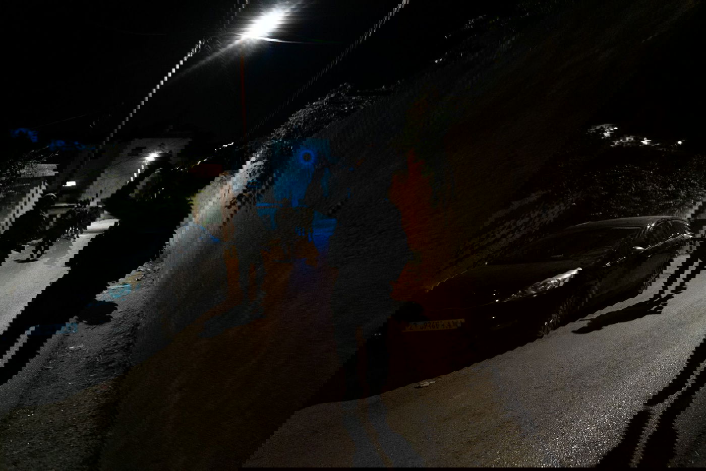 פעילות הכוחות, בשבוע שעבר ביו"ש