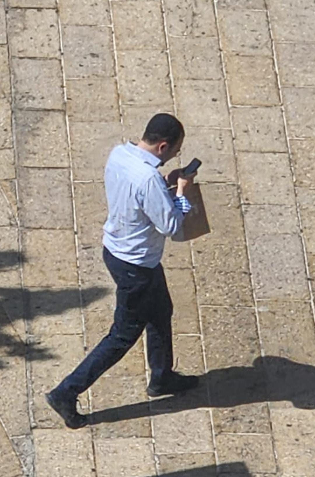 זופניק בכיכר • כל התמונות, הנייעס והחשיפות של השבוע