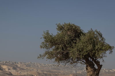 התחזית: תורגש הקלה בעומס החום; מחר - שוב יתחמם