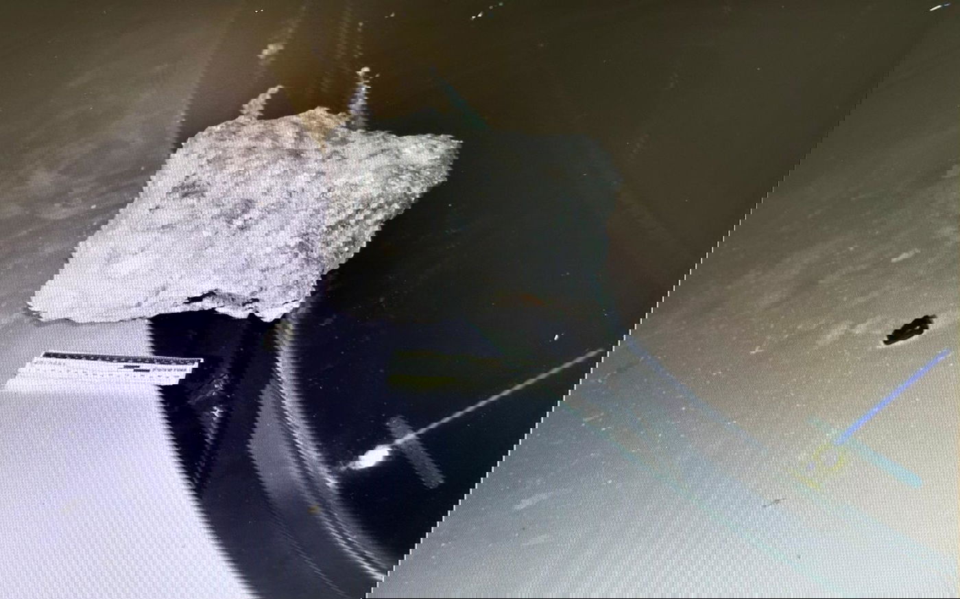 אחד הרכבים שנפגעו