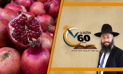 מה יעשה מי שלא אוהב את אחד מסימני ראש השנה? • צפו 