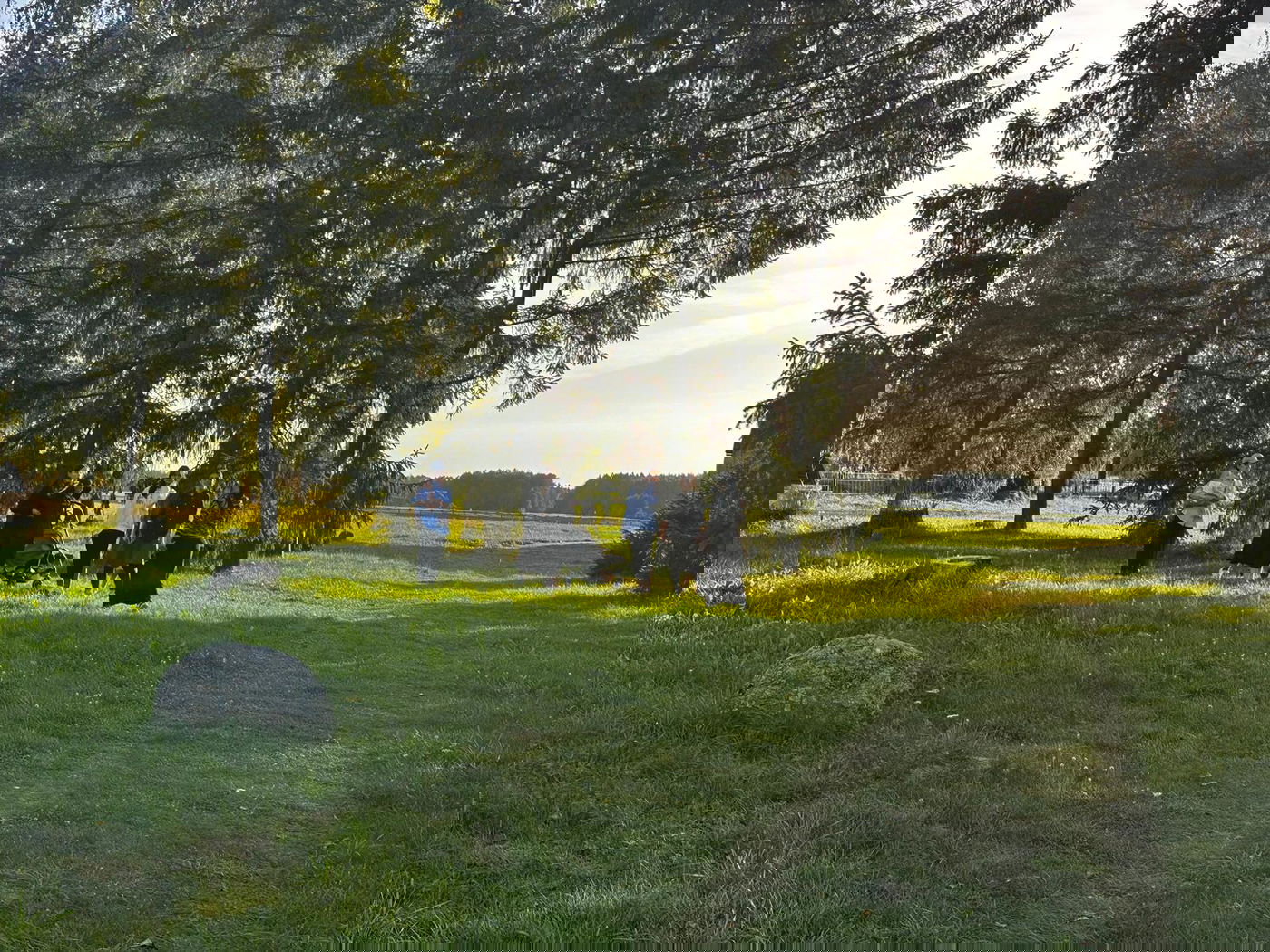 היארצייט של החפץ חיים בראדין