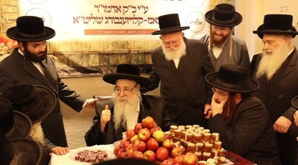 הביקור של הרבי
