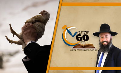 האם מועיל לעשות כפרות עבור אדם אחר שלא נמצא במקום? • צפו 