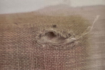 בעל דירה התקין מצלמה נסתרת בדירה השכורה - ונעצר