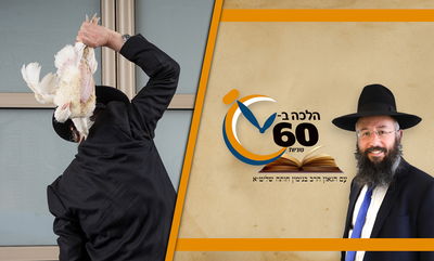 זהירות: זה הנוסח הנכון בכפרות על תרנגול • צפו 