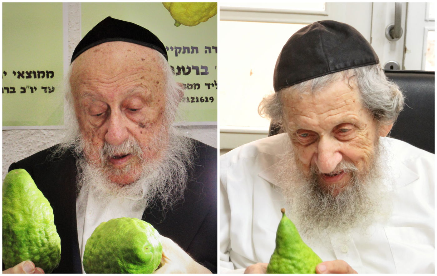 הגר"ד לנדו והגרב"ד פוברסקי בוחרים אתרוג