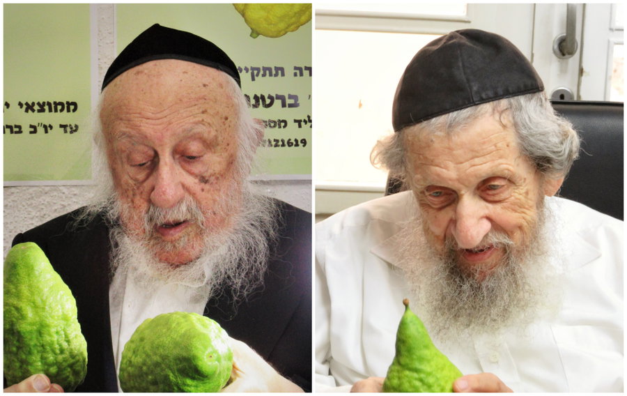 הגר"ד לנדו והגרב"ד פוברסקי בוחרים אתרוג
