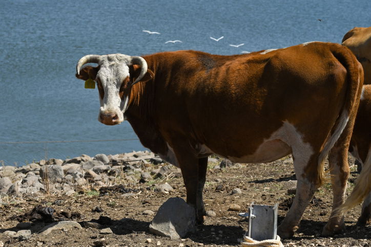 התחזית: מה צפוי מהיום ועד ליום צום כיפור? | כל הנתונים