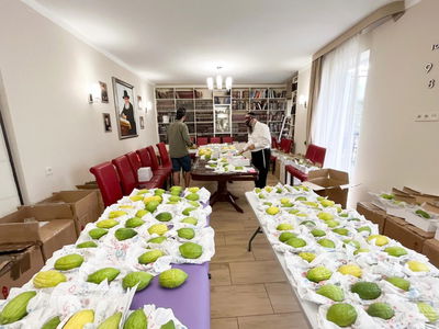 כך הביאו מסביב לעולם את ארבעת המינים לאוקראינה