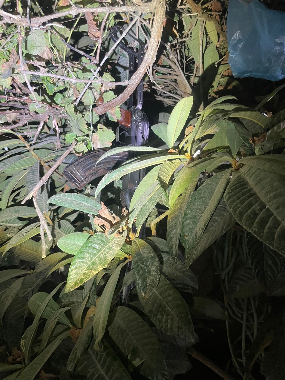 בין השיחים: השוטרים חשפו רובה קלצ׳ניקוב מוסלק