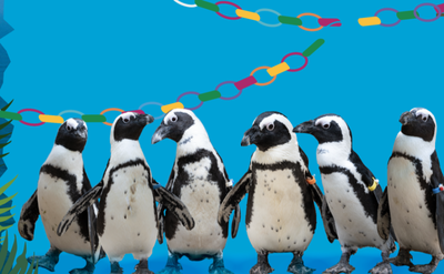 סוכות בחיק הטבע- תעסוקה מושלמת לחוה"מ