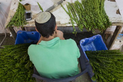 מכירת הדסים