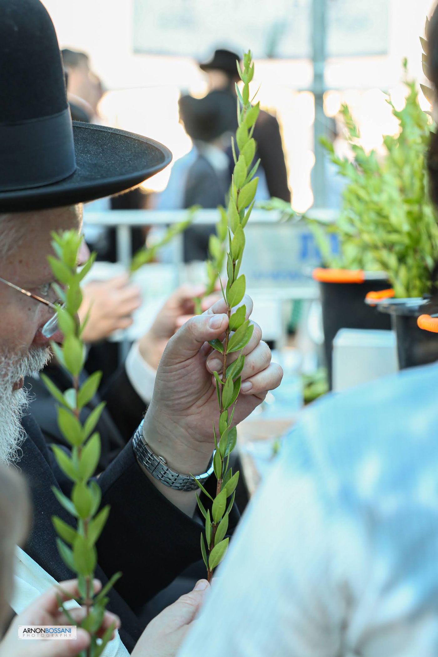 כל צבעי הקשת וחיבוב המצוות • ירושלים כפי שלא ראיתם מעולם