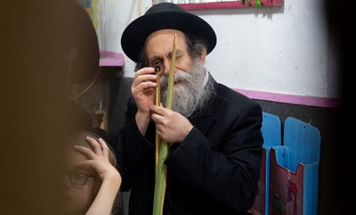 תמונת אילוסטרציה