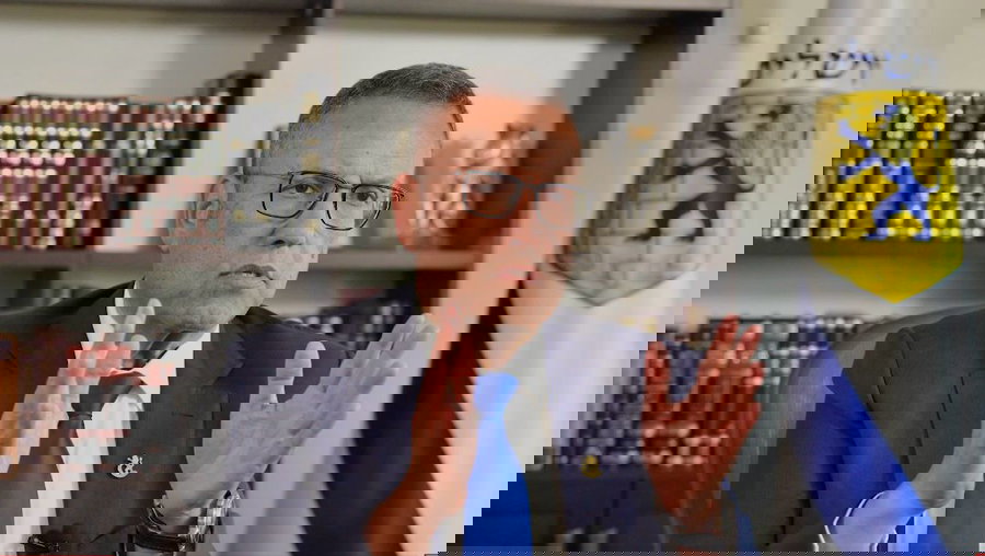 צפו בריאיון המלא 