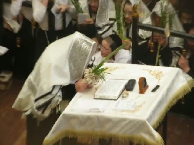 האדמו"ר מויז'ניץ בנטילת לולב