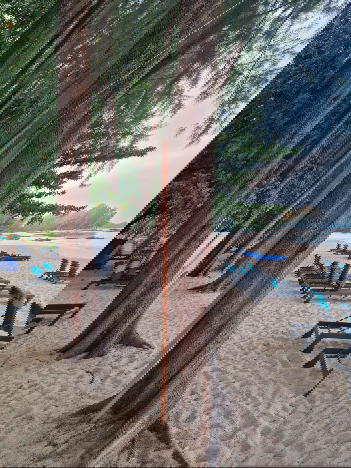 עירוב בחוף הים בתאילנד