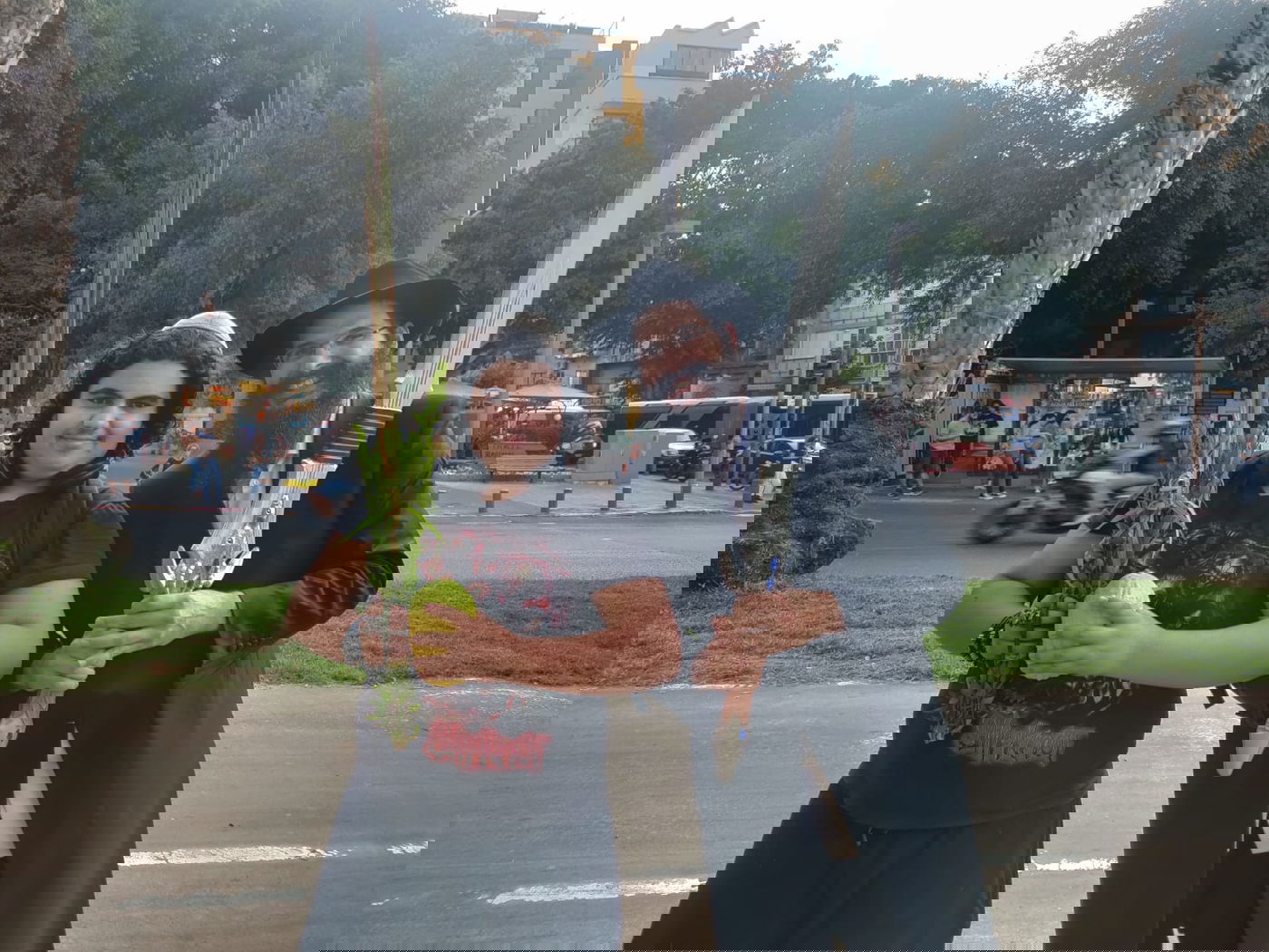 "מזהים התעוררות לא שגרתית": רבבות נוטלים לולב ברחובות תל אביב