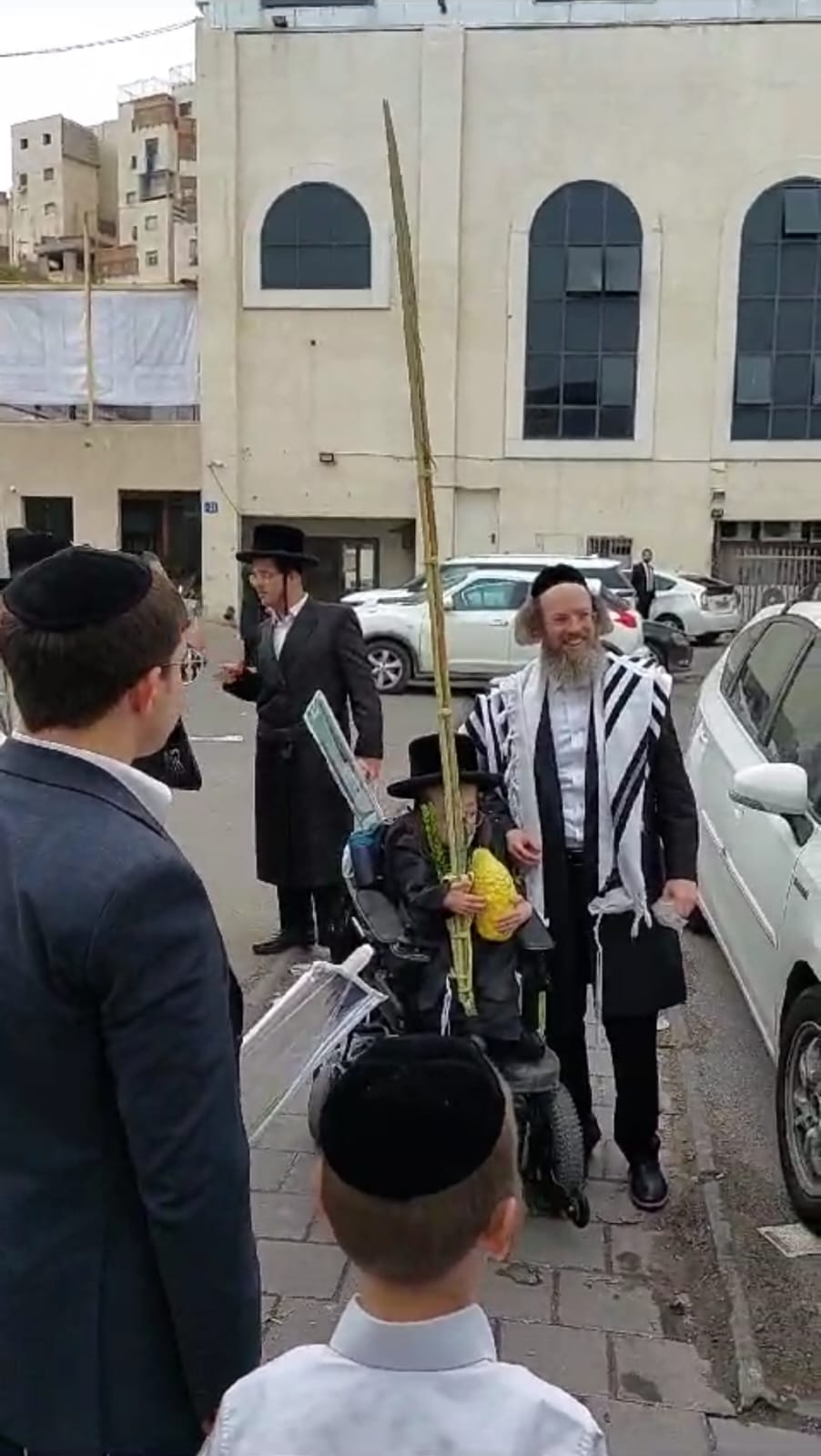 חזקי טורנהיים מנענע ארבעה מינים