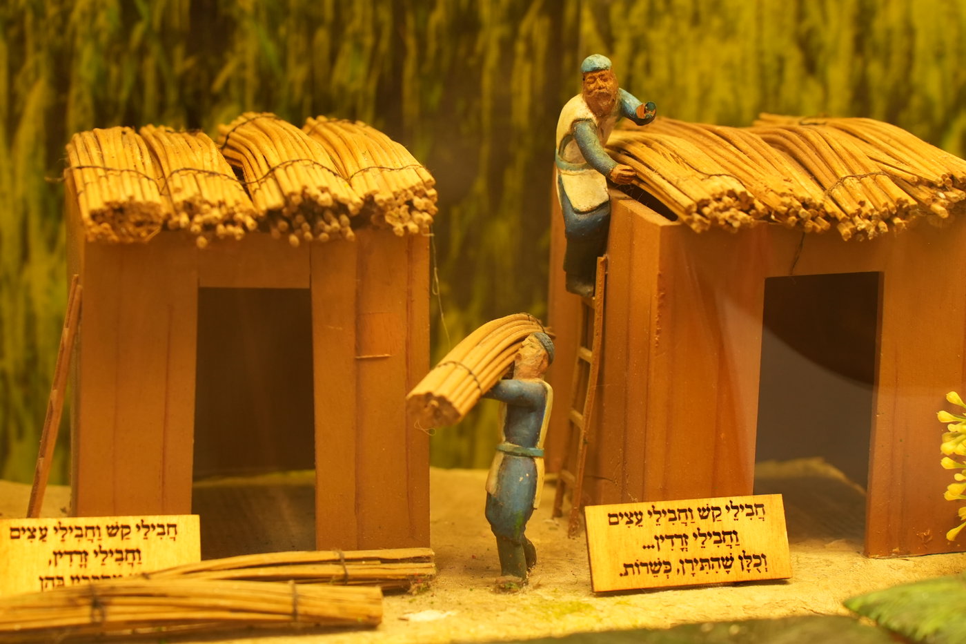 מיצג מתוך המשנה במסכת סוכה