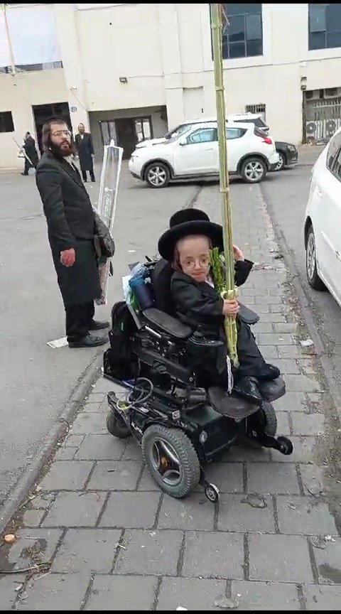 חזקי טורנהיים וארבעת המינים
