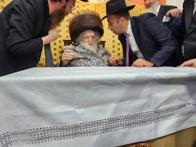 גרינברג עם הגר"מ שטרנבוך