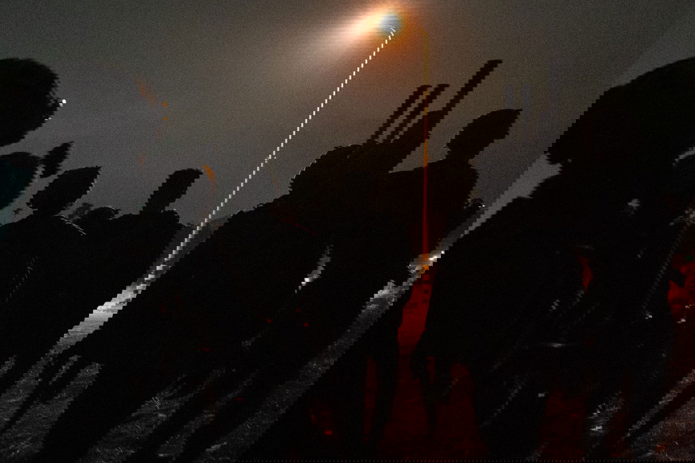 הכוחות בפעילות הלילה