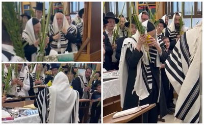 כשהמשגיח הגאון רבי דן סגל התייפח ב'הושענות' ורקד ב'הלל' | תיעוד מיוחד