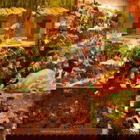 המיצגים בסוכה