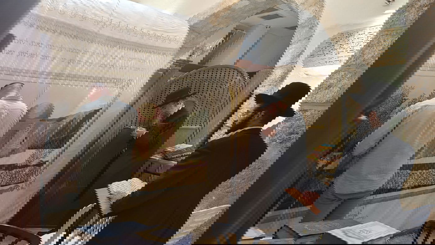 זופניק בכיכר • כל התמונות, הנייעס והחשיפות של סוכות