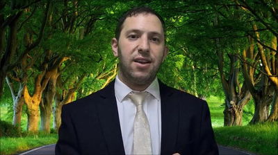 הרב נפתלי וסרמן על שמחת תורה • צפו