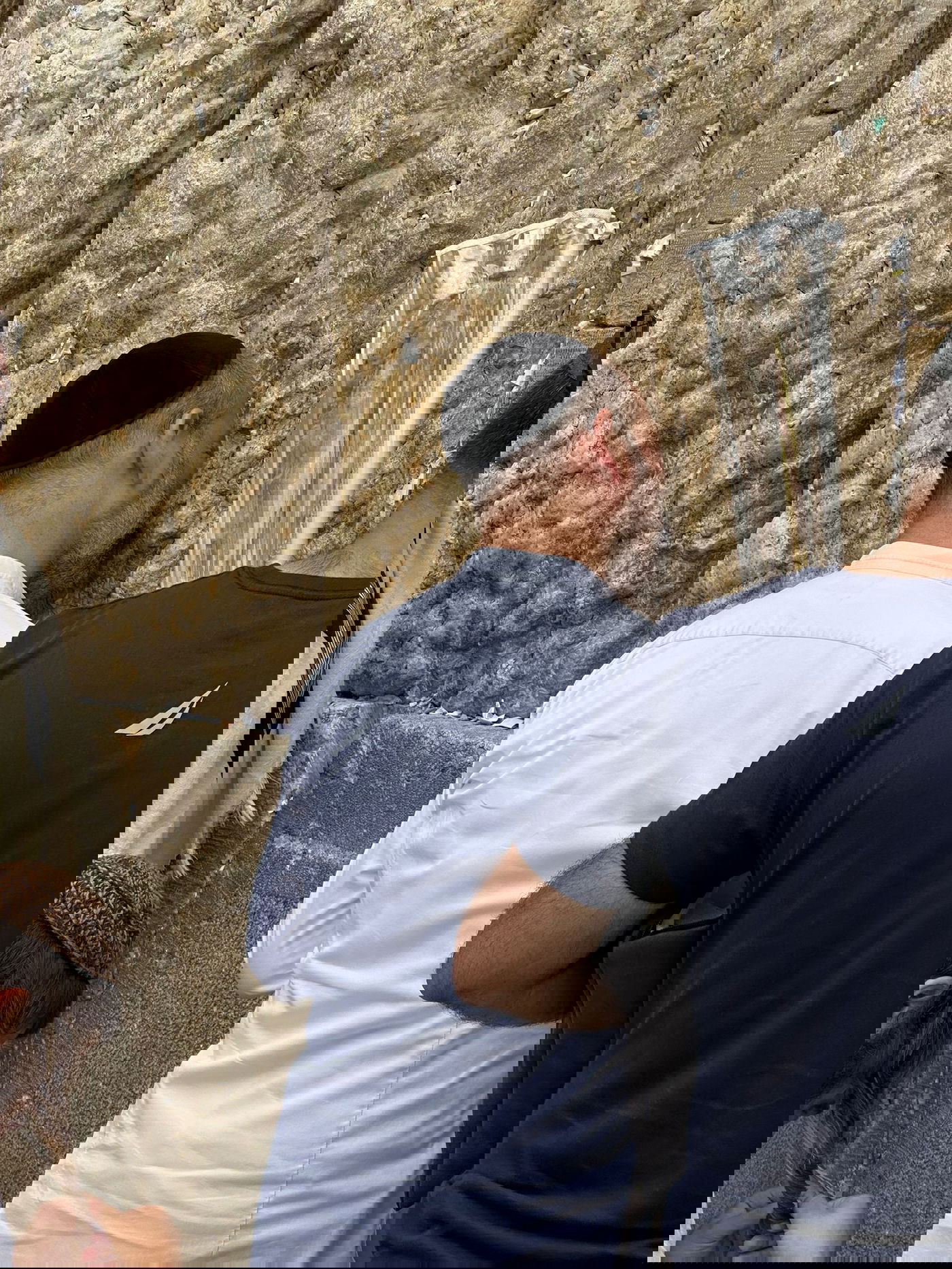 זופניק בכיכר • כל התמונות, הנייעס והחשיפות של סוכות