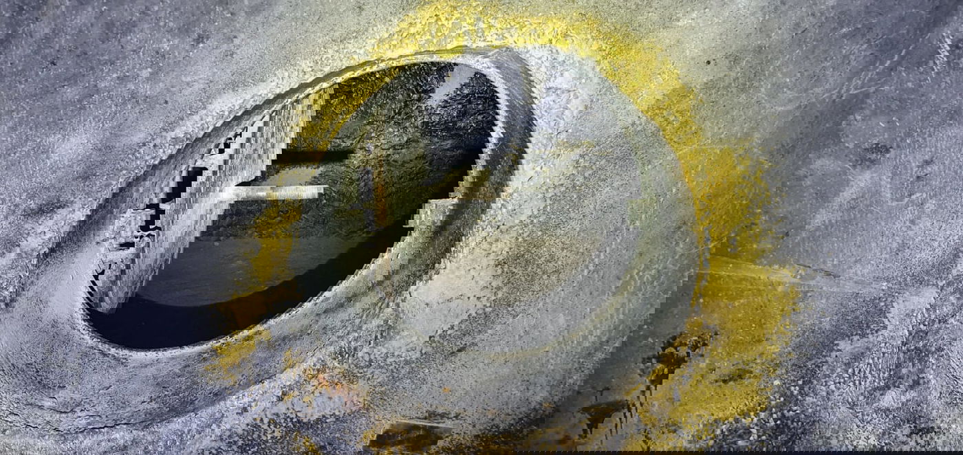 מאגורות נחש צמא