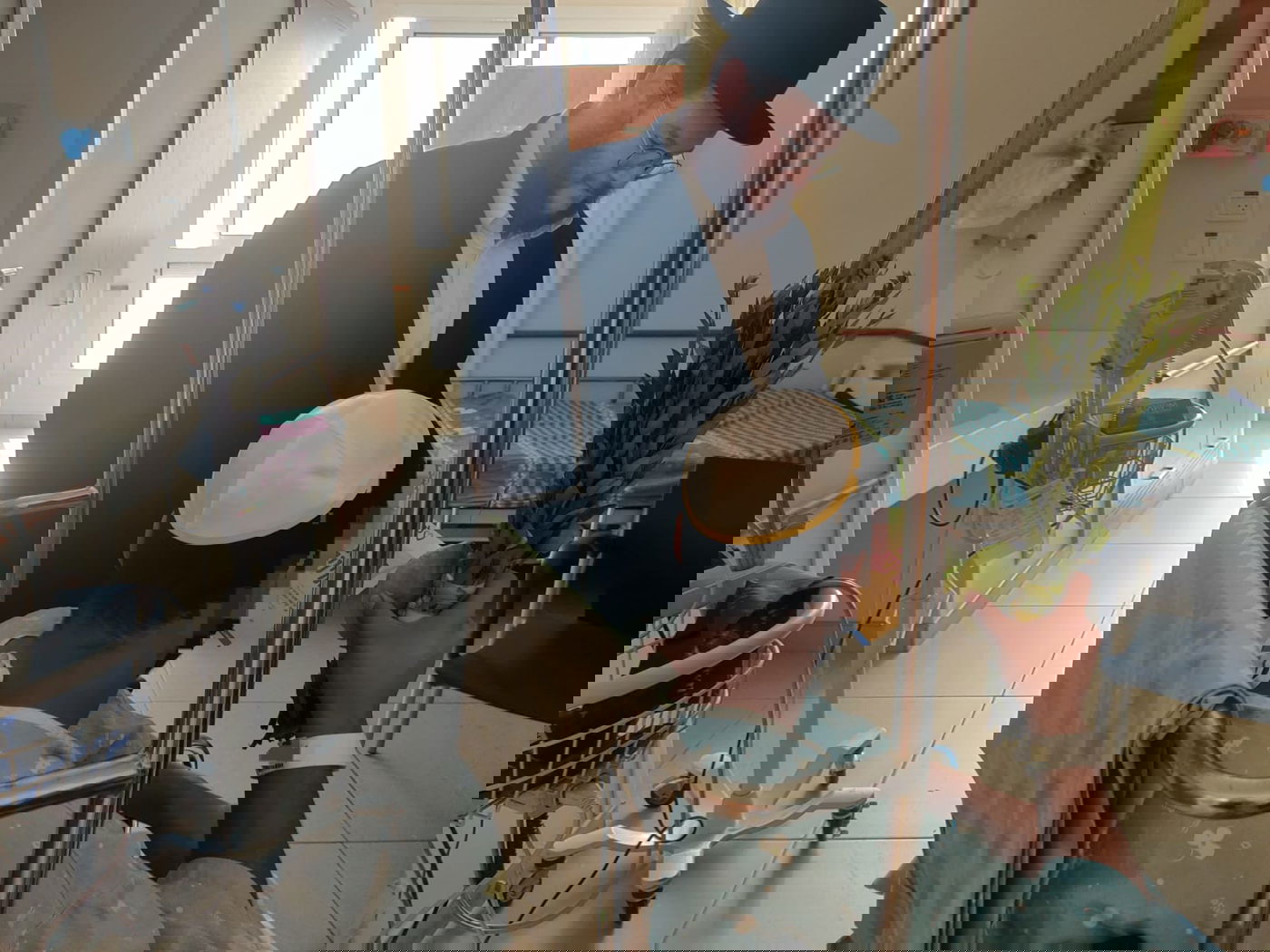 על נטילת לולב. 'מאיר', הבוקר